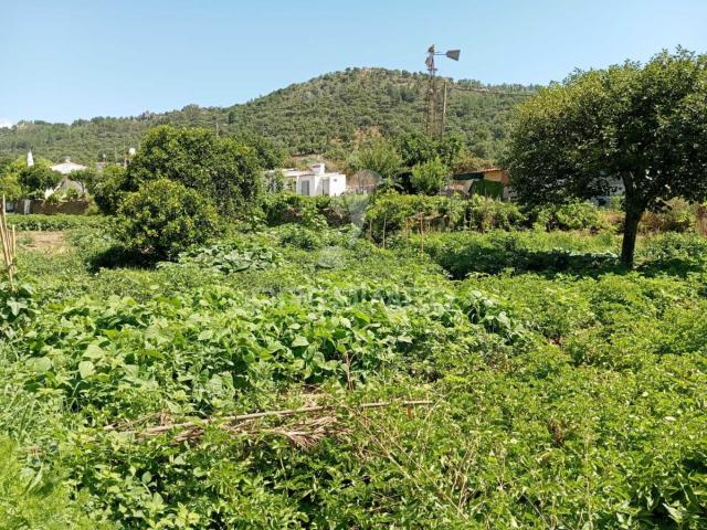Quinta venda em Portalegre, Alegrete