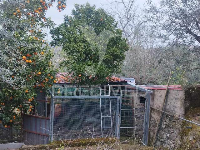 Quinta venda em Castelo De Vide, Quinta do Brejo