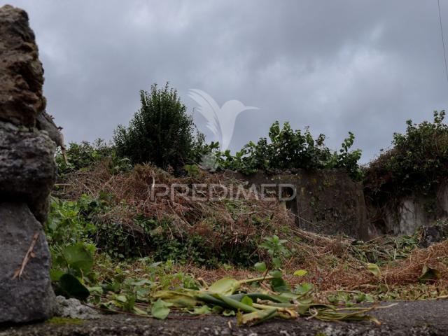 Quinta venda em Velas