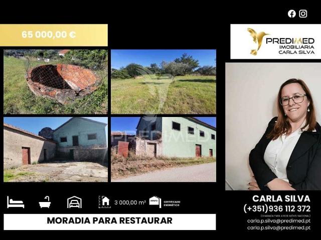 Quinta venda em Rego Da Murta, Santarém