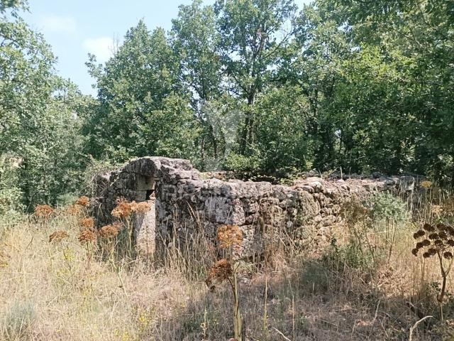 Quinta venda em Guarda, Celorico Da Beira