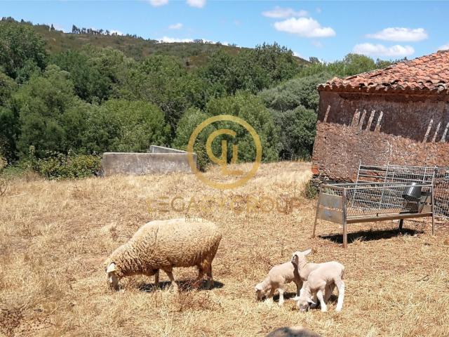 Quinta venda em Boavista dos Pinheiros, Odemira