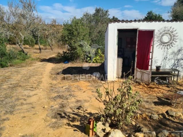 Quinta venda em Albufeira, Quinta dos Álamos