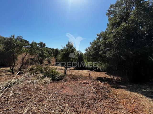 Quinta venda em Quinta do Freixo, Caldas Da Rainha