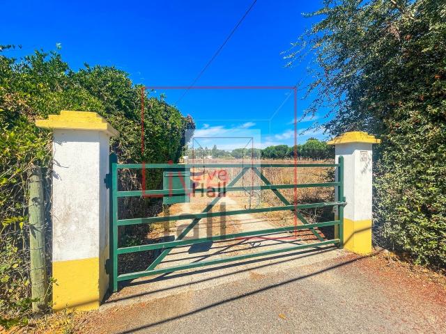 Quinta venda em Benavente, Santarém