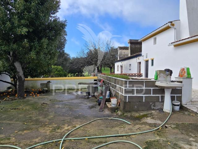 Quinta venda em Portalegre, Urra