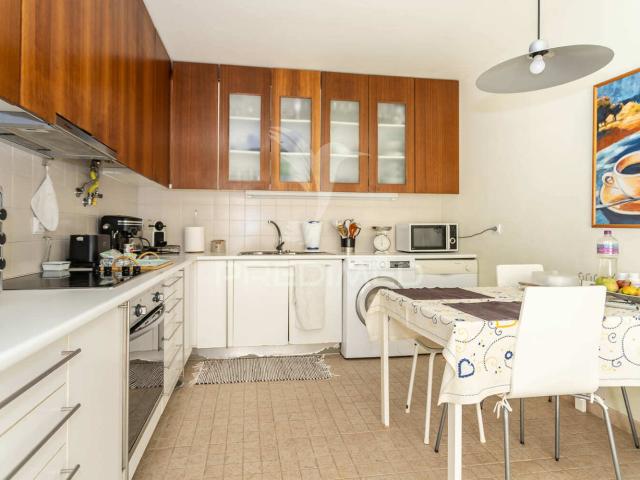 Quinta venda em Palmela, Setúbal