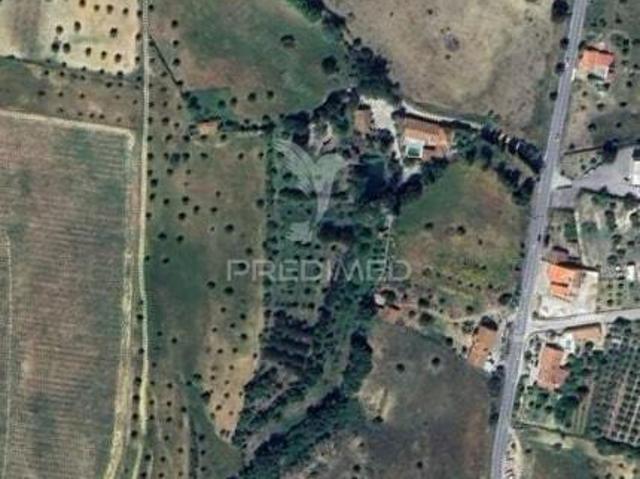 Quinta venda em Santarém