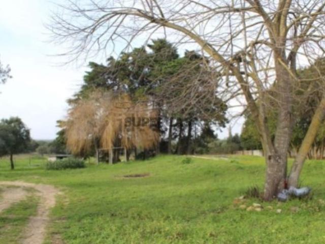 Casa venda em Azeitão (São Lourenço e São Simão), Setúbal