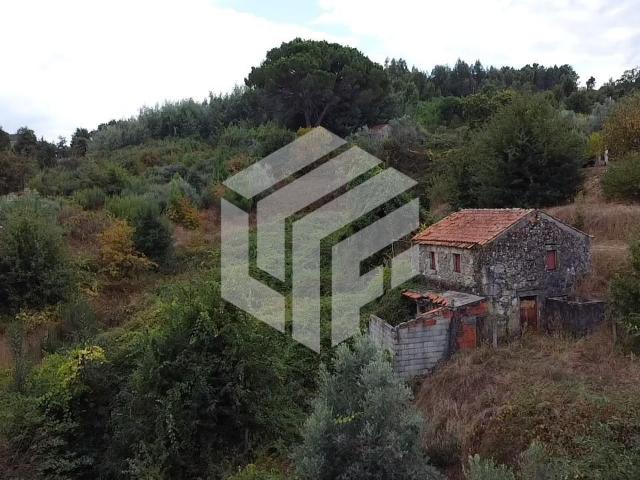 Casa venda em Quinta Vale Dona Clara, Nogueira Do Cravo