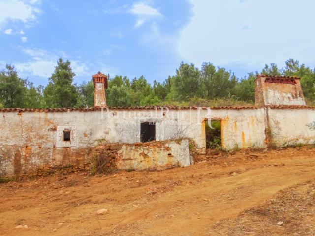 Quinta venda em Portalegre