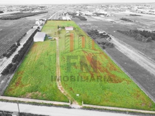 Quinta venda em Almeirim, Santarém