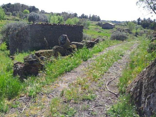 Quinta venda em Castelo Branco, Penamacor