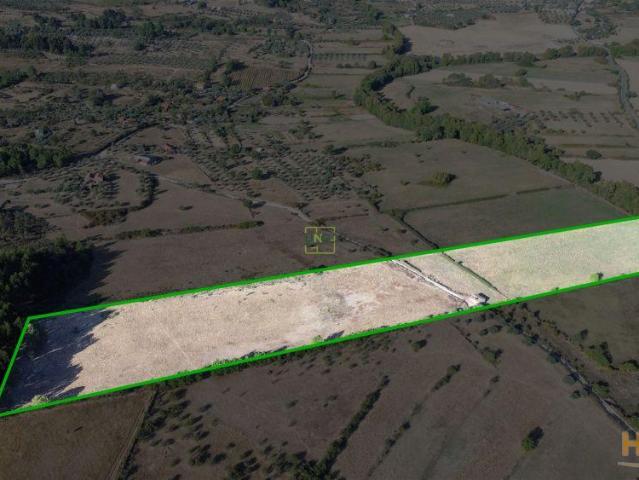 Quinta venda em Castelo Branco, Aldeia Nova Do Cabo