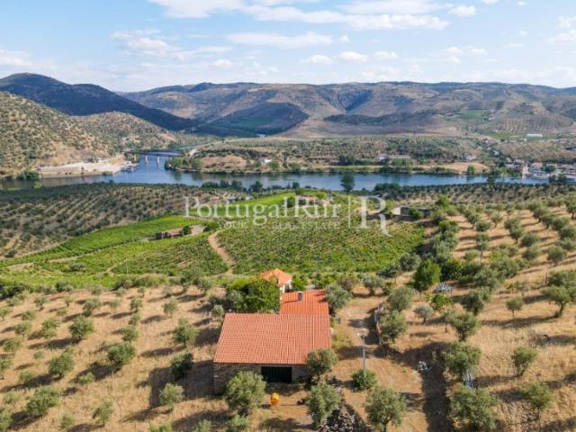 Quinta venda em Guarda, Figueira De Castelo Rodrigo