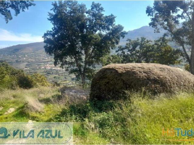 Quinta venda em São Nicolau, Vila Real