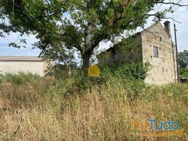 Quinta venda em Castelo Branco