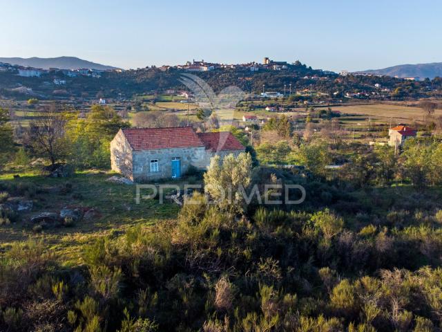 Quinta venda em Castelo Branco