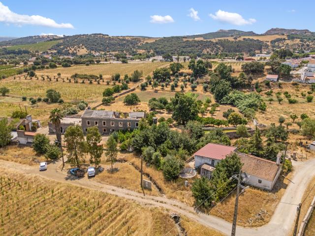 Quinta venda em Borba (Matriz), Borba