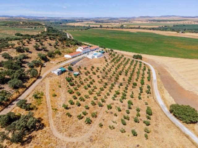 Quinta venda em Campo Maior, Portalegre
