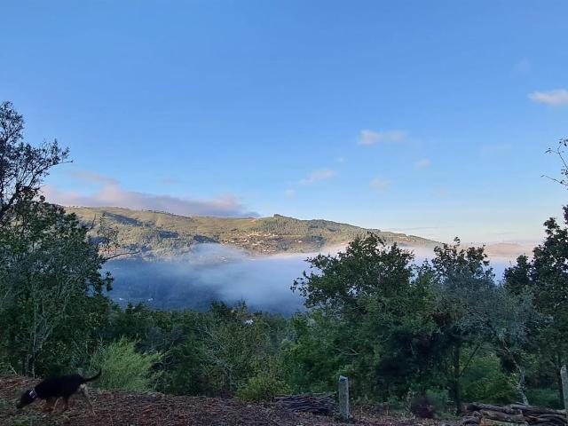 Vivenda venda em Oliveira Do Douro, Viseu