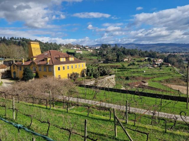 Quinta venda em Fermentães, Amarante