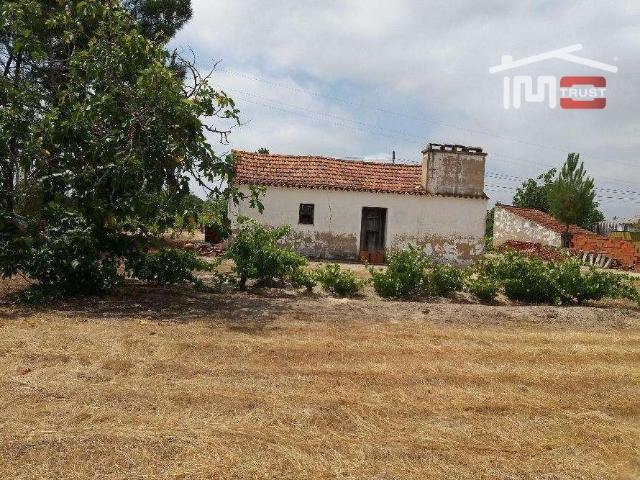 Terreno venda em Abrantes, Santarém