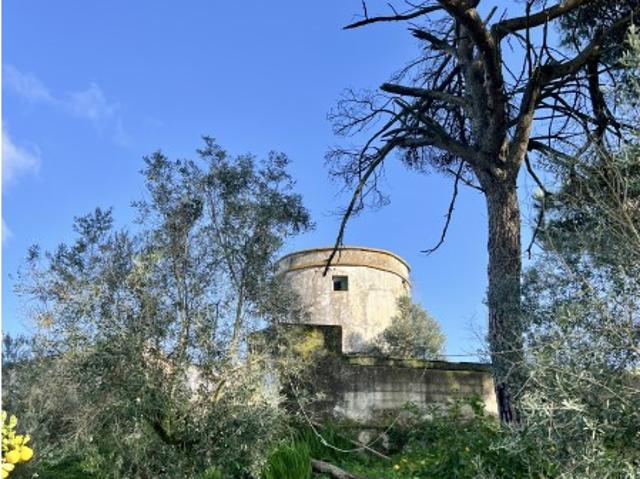 Quinta venda em Évora