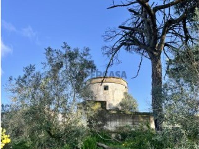 Casa venda em Évora