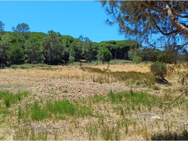 Quinta venda em Faro