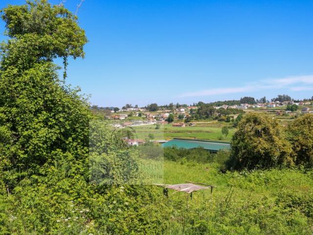 Quinta venda em Paredes, Bitarães