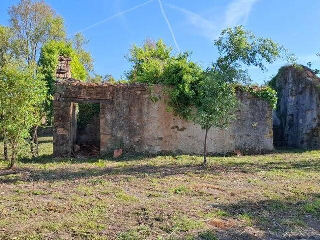 Quinta venda em Pedrógão Grande, Leiria