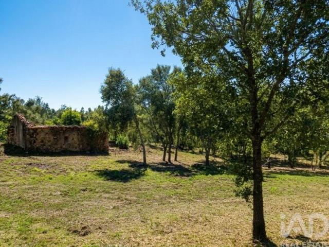 Casa venda em Pedrógão Grande, Leiria
