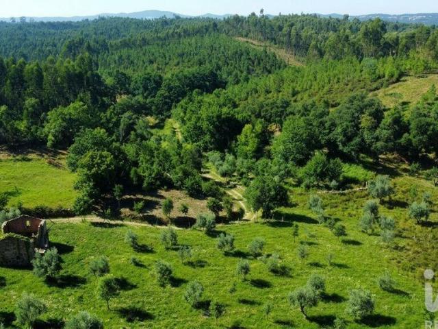 Quinta venda em Casal da Graça, Pedrógão Grande