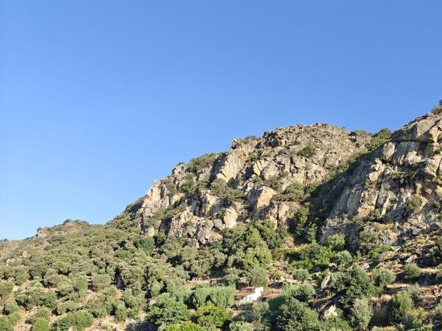 Vivenda venda em Castelo Branco, Idanha-a-nova