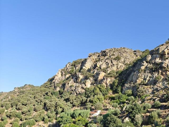 Quinta venda em Castelo Branco, Idanha-a-nova