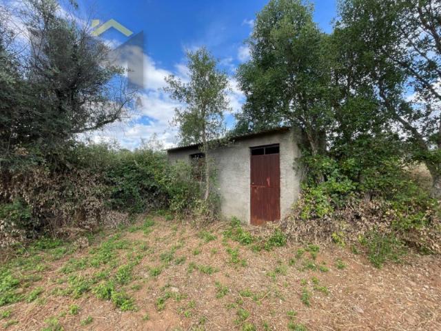 Quinta venda em Castelo Branco