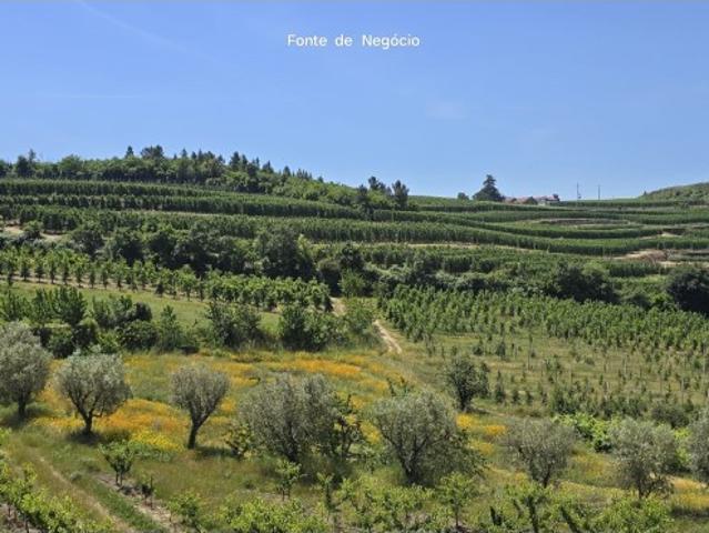 Quinta venda em Lamego, Viseu