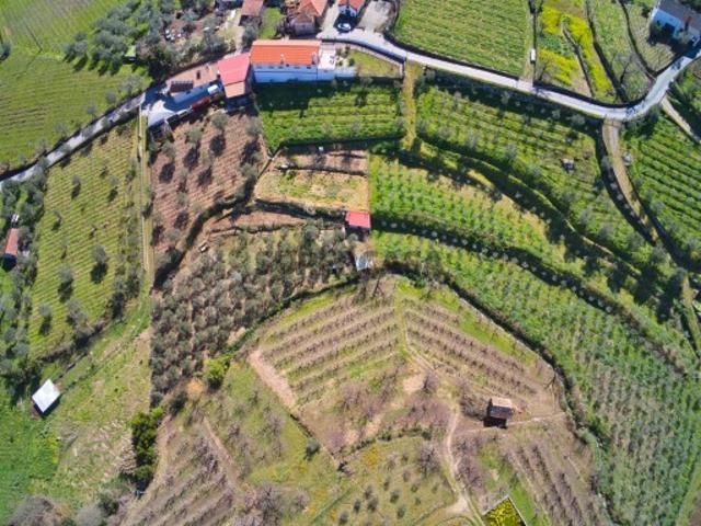 Casa venda em Lamego, Viseu