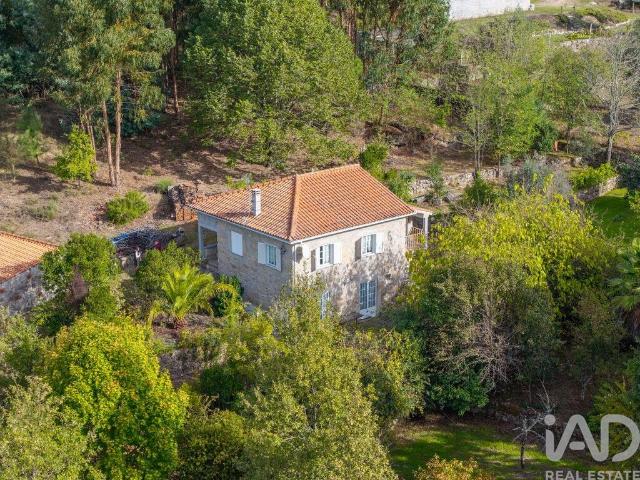 Quinta venda em Mangualde, Mesquitela e Cunha Alta, Mangualde