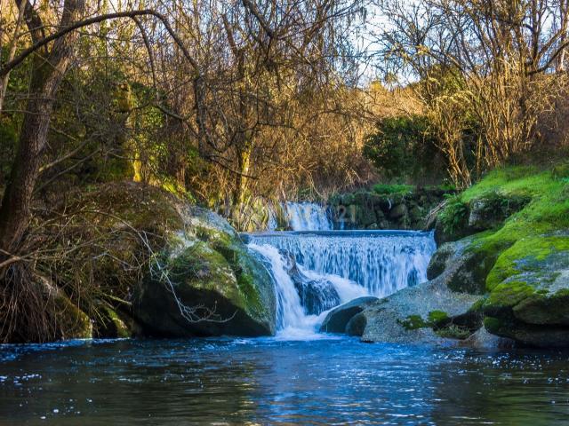 Quinta venda em Tábua, Coimbra