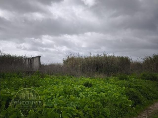 Quinta venda em Caparica, Serrado