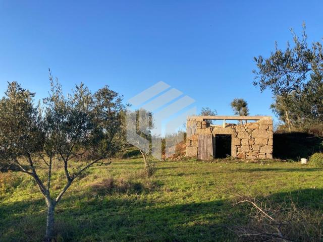 Casa venda em Frangeiro, Nogueira Do Cravo