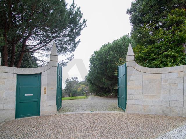 Quinta venda em Felgueira, Oliveira De Azeméis
