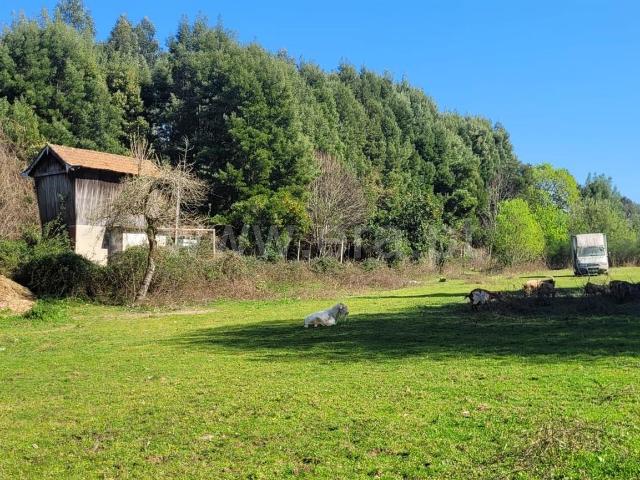 Quinta venda em Vila Nova De Gaia, Porto