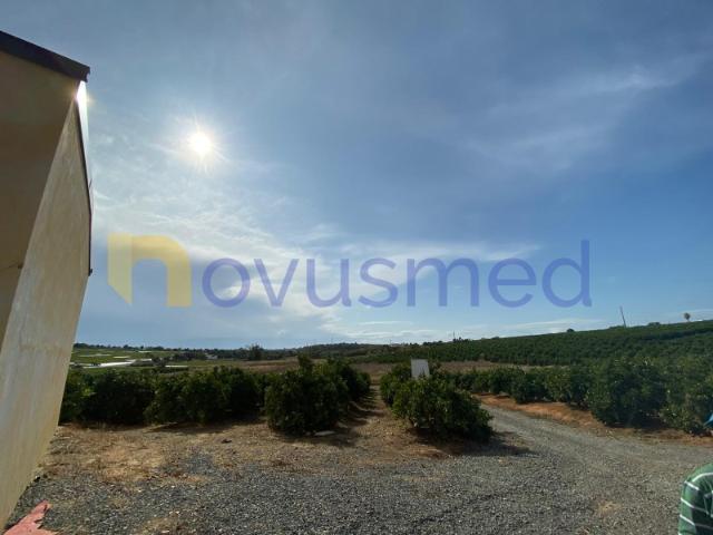 Quinta venda em Piares, Olhão
