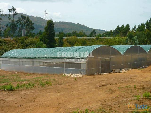 Quinta venda em Ponte De Lima, Viana Do Castelo