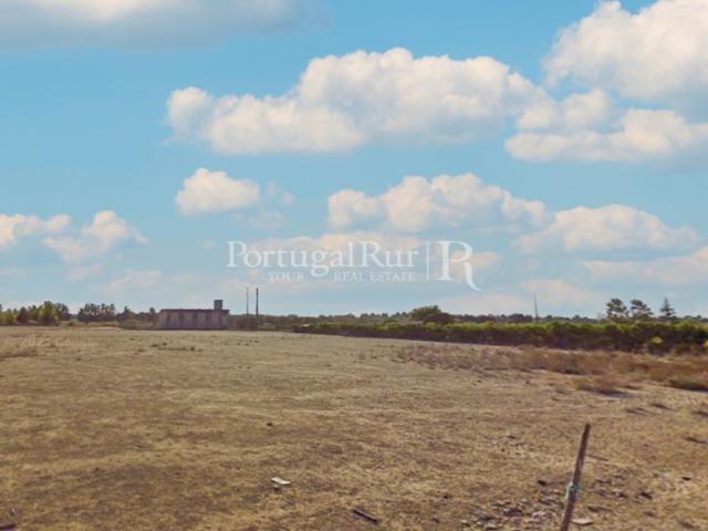 Quinta venda em Azeitão (São Lourenço e São Simão), Setúbal