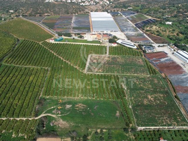 Quinta venda em Olhão, Faro