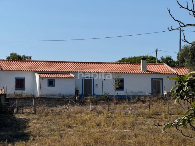 Quinta venda em São Luís, Vale Bejinha